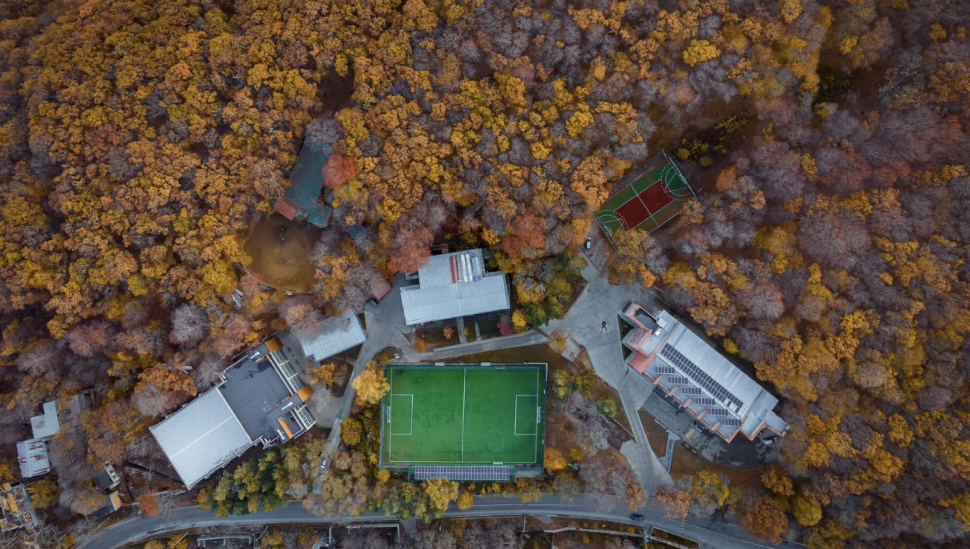 A Level პროგრამა